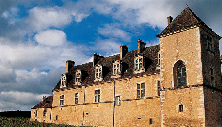 Bbui-burgundy-biking-9